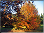 foto Parco Karlsaue in Autunno